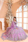 Pastel Lilac & Sparkling Silver: Embroidered Net Bridal Lenge Choli | Ready To Wear