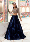Royal Blue Embellished Organza Choli with Velvet Lehenga